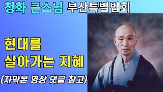청화큰스님 법문 현대를 살아가는 지혜 부산 KBS홀 특별법회 19980913 | 입불이법문 청화스님