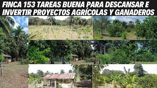 Finca de 153 Tareas Sembrada de Árboles frutales y Limones ideal para Vivir y Descansar en el Campo