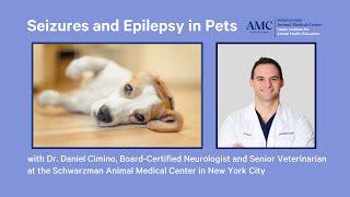 Seizures and Epilepsy in Dogs and Cats