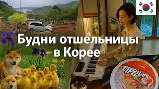 Корейские будни отшельницы в горах / KOREA VLOG