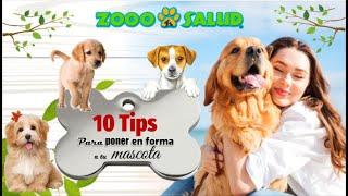 10 TIPS MASCOTAS