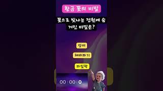 황금 꽃의 비밀