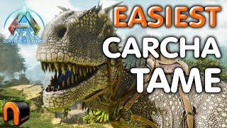 EASIEST Carcharodontosaurus TAME EVER! Ark Survival Ascended