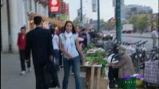 Phong Su Toronto and Chinatown- TyTy Hong Anh