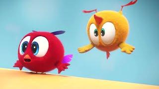 Trampolim | Onde está Chicky? | Pintinha amarelinho | Coleção desenhos animados Infantil | Episódios