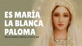 ES MARÍA LA BLANCA PALOMA que ha venido a América a traer la paz