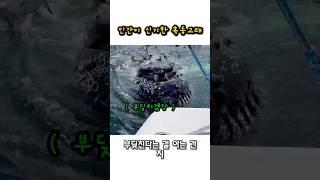 인간이 너무 신기했던 혹등고래의 놀라운 반응