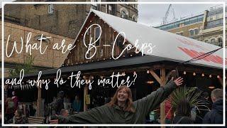 What are B-Corps and why do they matter? I Hubbub Investigates