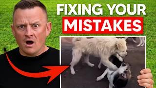 Dog Trainer Reacts To Internet's MOST VIRAL Dog Videos!