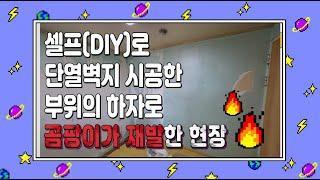 평택 아파트 셀프(DIY)로 시공한 단열벽지가 안방 결로 현상으로인해 곰팡이가 발생되어 제거 후 단열 시공