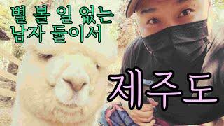 [모아보기]늙은 놈과 이상한 놈의 할 껀 다하는 가성비 제주여행