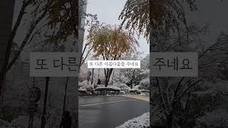 첫눈 내린 날  서울 도심 The First  Snow of the season  in Korea#서울#첫눈#강남구#도심#청담도서관#청담동#강남구청