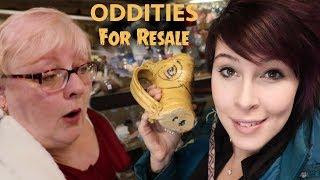 Finding Oddities at the Antique Shop | Vintage Buying & Reselling | Crazy Lamp Lady