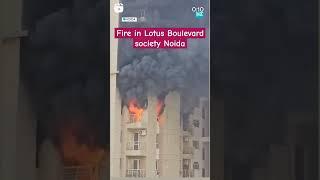 Massive fire breaks out at Noida's Lotus Boulevard Society #firehazard #noida #viral #shorts