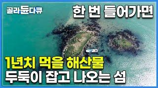 방송에 공개해도 괜찮나요..? 낙지, 조개, 돌게, 온갖 노다지 가득한 부부의 보물섬|오직 봄에만 수면 위로 올라오는 섬|충남 태안|한국기행|#골라듄다큐