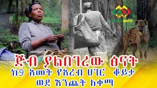 ፅናት! 9 አመት አረብ ሃገር አሁን እንጨት ለቀማ Ethiopia | EthioInfo.