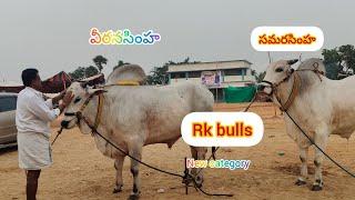 RK BULLS సమరసింహ & వీరనసింహ new category bulls