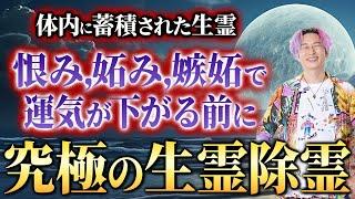 ※軽い気持ちでは見ないでください※あなたの体内に蓄積された恨み、妬み、嫉妬などの生霊をただひたすらに除霊する【プロ霊能力者　柳生忠司先生】