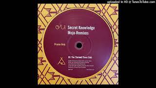 Secret Knowledge - Mojo (The Stained Trees Dub)