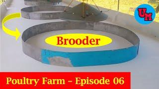 How To Prepare A Brooder For Newly Hatch Chicks | How To Set Up Chick Brooder | Episode 06 | 2022