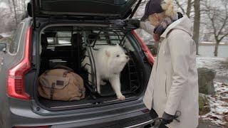 Volvo Cars and Pet Safety