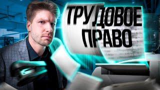 Все о трудовом праве за 8 минут | Обществозание ЕГЭ — Валентиныч