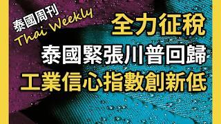 【泰國週刊 • 政經】川普回歸對泰國經濟有何影響？倒閉聲中工業信心創兩年新低，前進黨或將下月解散，為泰黨驚爆內部衝突（第 200 期）