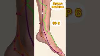 The Spleen Channel Acupuncture Points #acupuncture