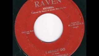 The Individuals - I Really Do 1966