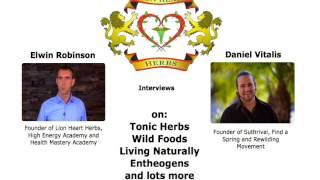 Daniel Vitalis Tonic Herbs Interview