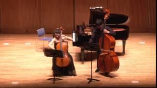 Bukinik Fantasie Op.11