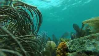 Kayak Free-Diving Fowey Rocks Light in Biscayne National Park