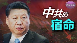 中共元老驚覺總加速師闖大禍，憂心中共政權命脈不保   路橋點評  中文字幕