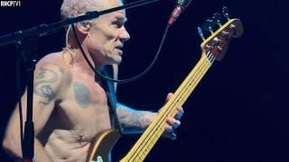 Flea - Amazing Bass Solo (2024)