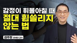 누구나 가능한 감정 훈련법. 딱 '이것'만 알아차리면 됩니다 (김주환 교수)