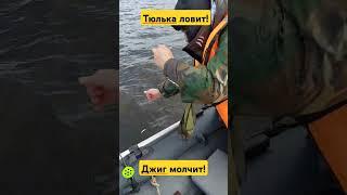 ТЮЛЬКА ЛОВИТ! ДЖИГ МОЛЧИТ! #васярыбаков #рыбалка #судак #fishing #рекомендации