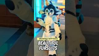 9 beautiful fursuits from furnal equinox 2023! #furnalequinox #furry #fursuits #fursuiters