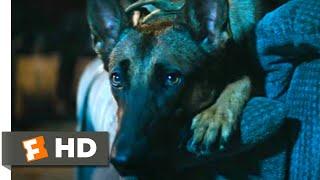 Dog (2022) - Scared of Storms Scene (7/10) | Movieclips