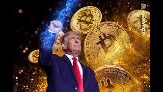 【緊急視頻】Trump 爆拉BTC, ETH, ADA, XRP!