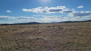 SOLD - 7 Acres – RV Friendly With Mountain Views & Gravel Road Access! In Hartsel, Park County CO.