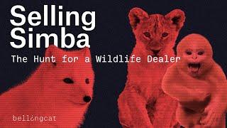 Selling Simba- The Hunt for a Wildlife Dealer