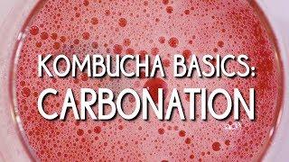 Kombucha Basics: Carbonation