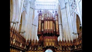 YORK MINSTER Part 2. #75 : #history #york #yorkshire #spring #travel #architecture #saint #rooftop