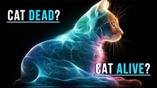 The Schrodinger's Cat  Visually Explained: Is The Cat Dead or Alive?