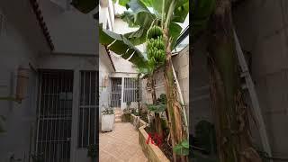 Casa com 350 m² na Vila Belmiro - COD: CA2486 - R3 Real Estate - Imobiliária em Santos