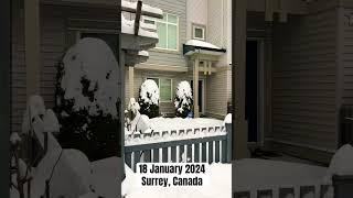 Snowing in Surrey, Canada 18 January 2024