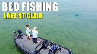 Bed Fishing Lake St Clair Smallmouth Bass (Clear Water)