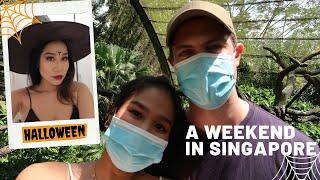 VLOG | Halloween,  Singapore Zoo, Hawkers in SINGAPORE