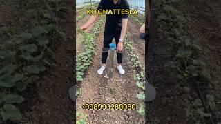 Кўчат экиш мосламаси сотувда бор. #сеялка #seyalka #gul #kuchat #stakanchik #gulkuchat #agro #urug