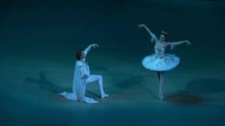 "Raymonda" Yulia Stepanova, Denis Rodkin (2)